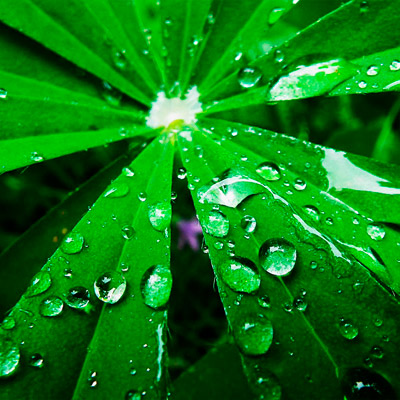 短信狂轰滥炸软件