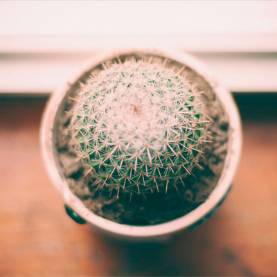 短信狂轰滥炸软件