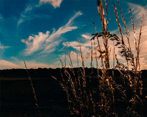 免费短信电话轰炸机